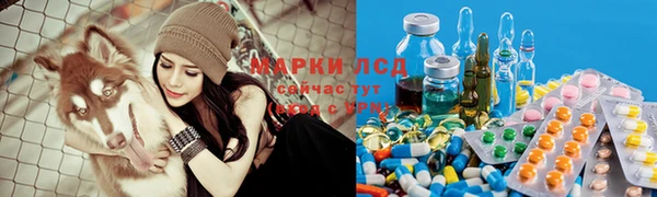 крисы Надым