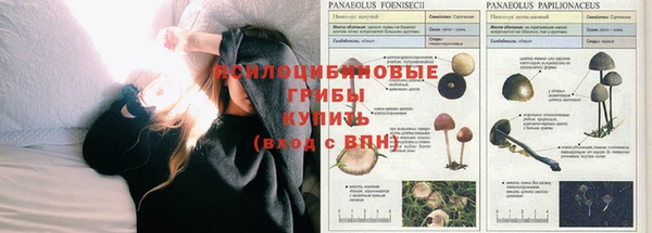 а пвп мука Нея
