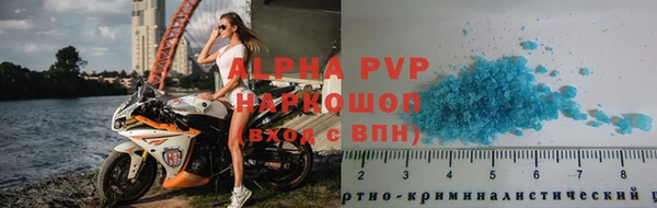 крисы Надым