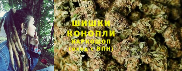 крисы Надым