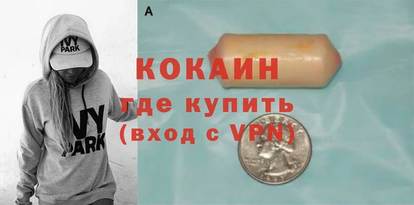 крисы Надым