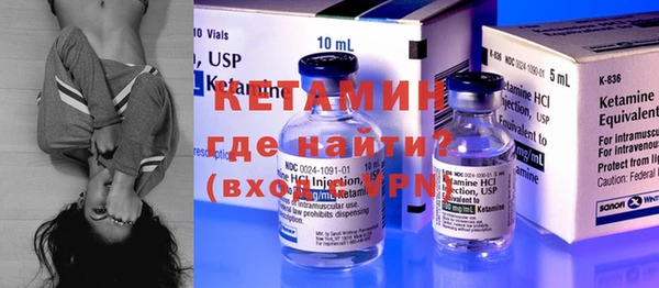 крисы Надым