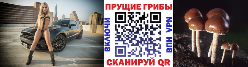Галлюциногенные грибы MAGIC MUSHROOMS  Усинск 
