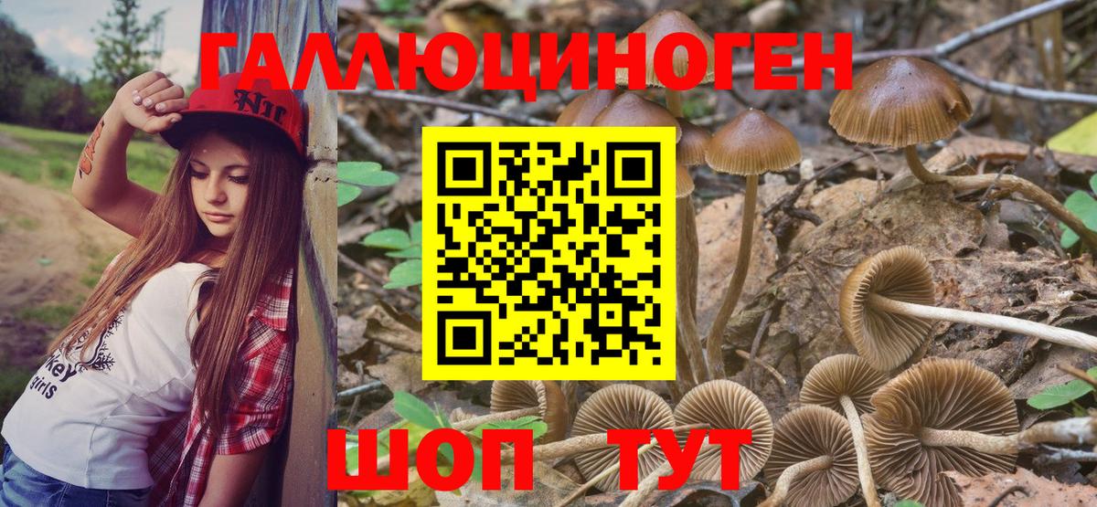 Галлюциногенные грибы Psilocybe  Вход с VPN  Усинск 